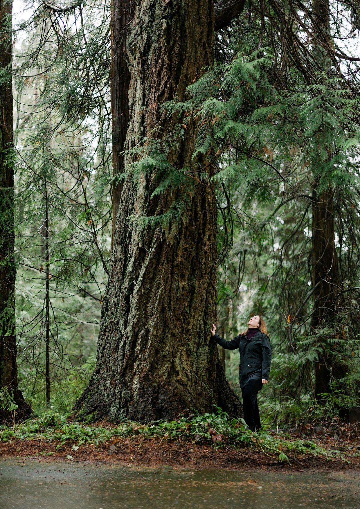 Wendy Owens_header image.jpg